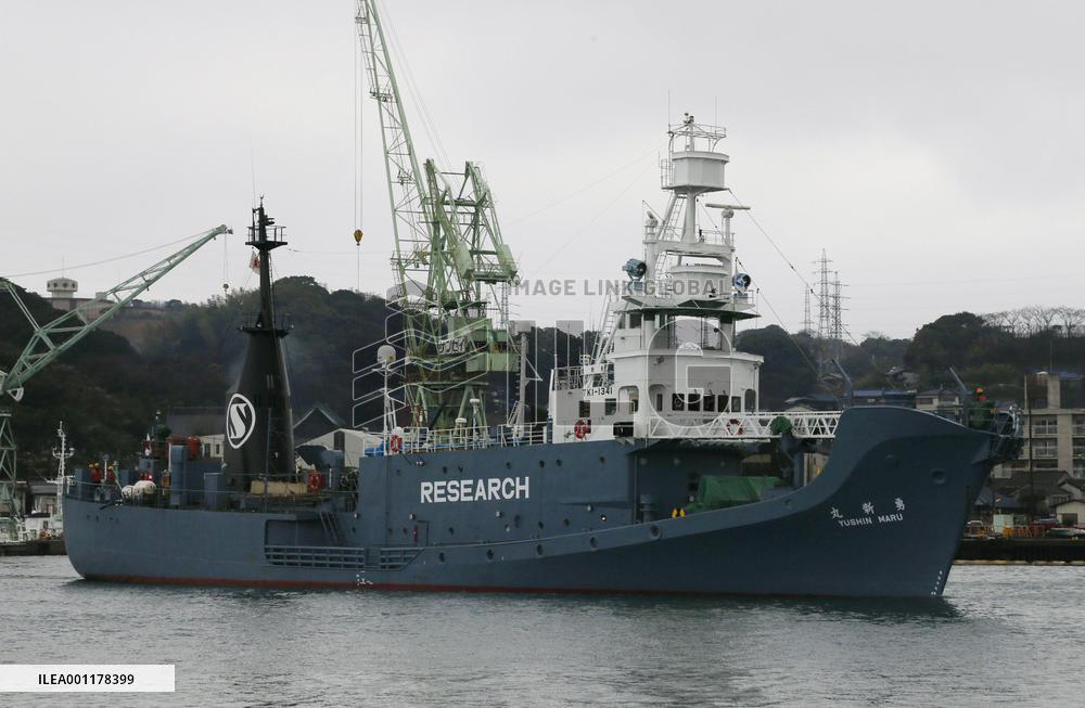 Fleet off for research whaling