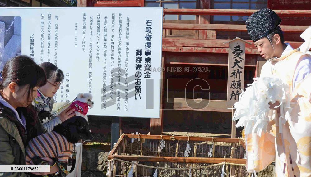 Mt. Mitake to open to hikers with dogs