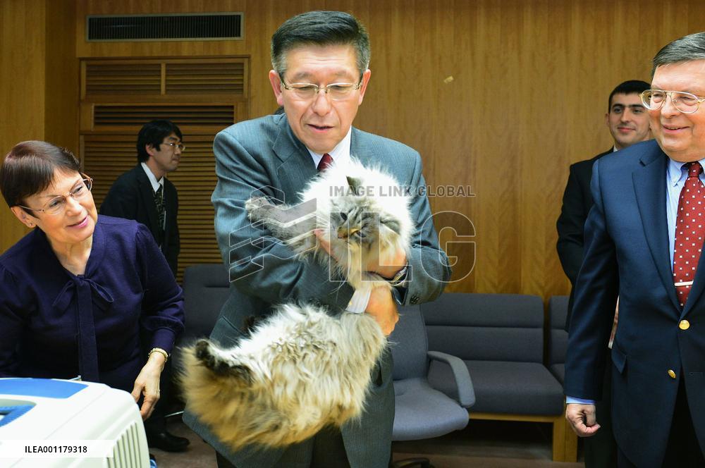 Cat given as gift by Russian leader Putin