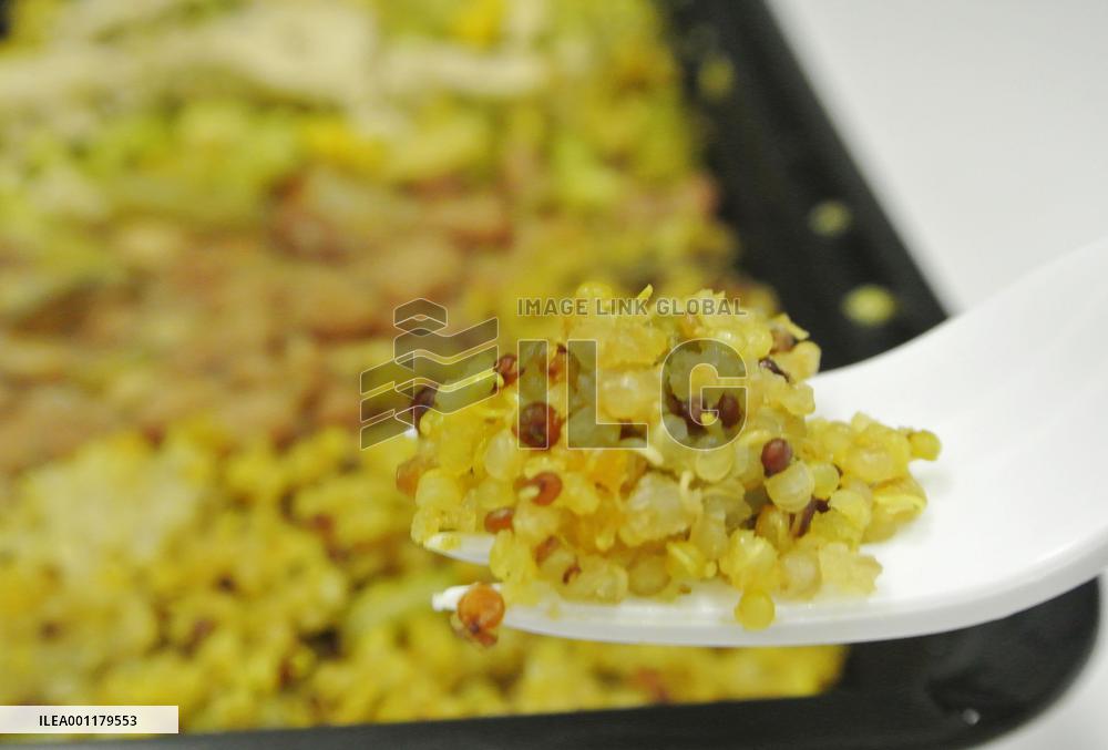 Quinoa in focus