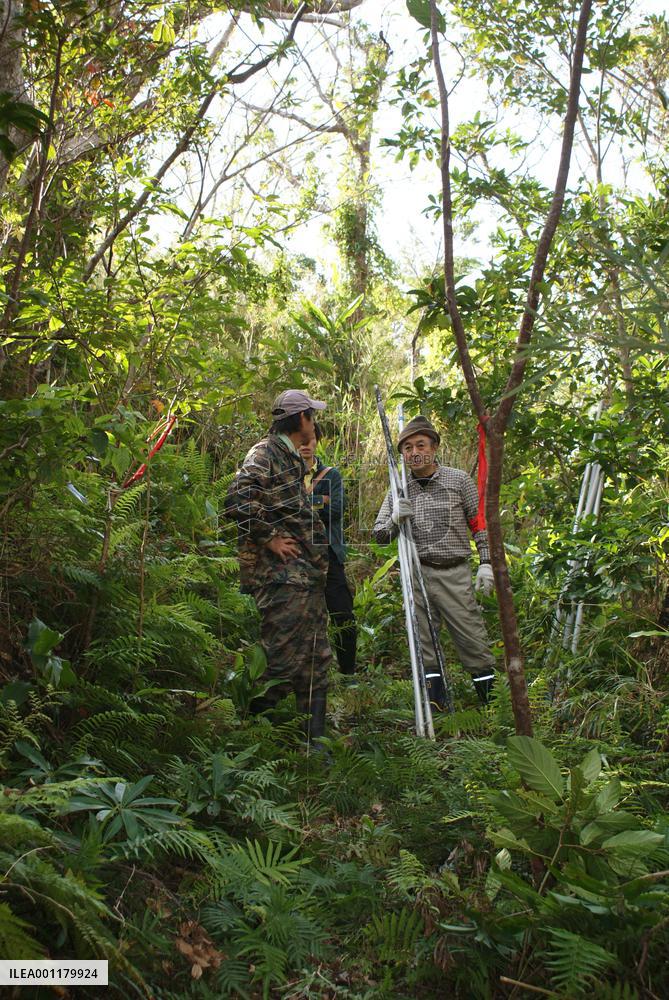 Data collected by 2-yr survey to protect Okinawa Woodpecker