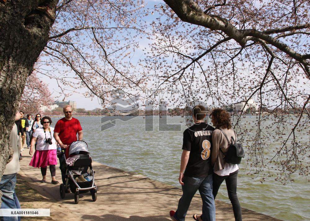 Spring in Washington