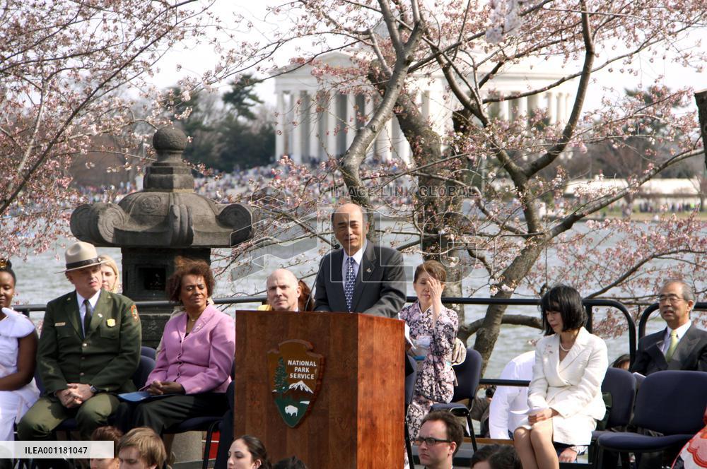 Spring in Washington