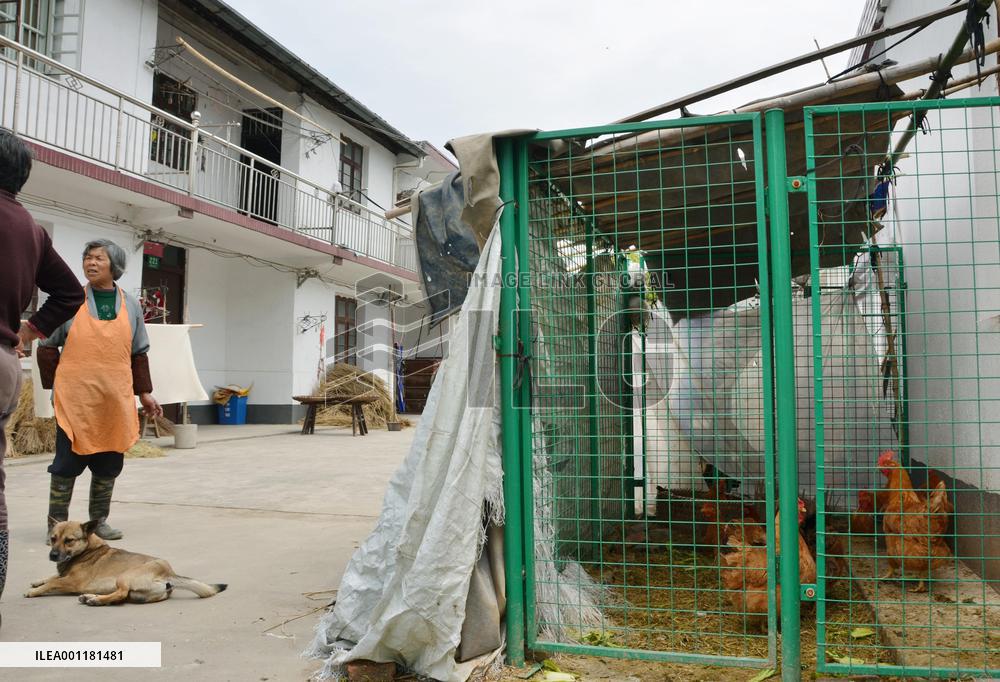 Bird flu in China