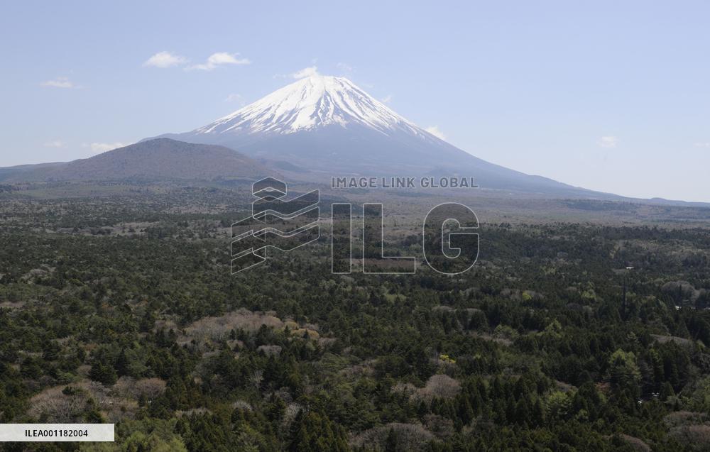 Mt. Fuji and forest