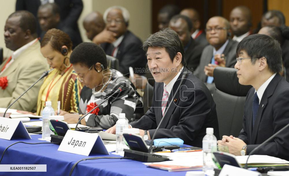 Japan-Africa natural resources meeting