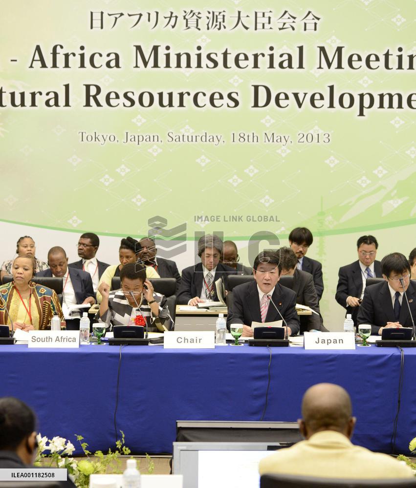 Japan-Africa natural resources meeting