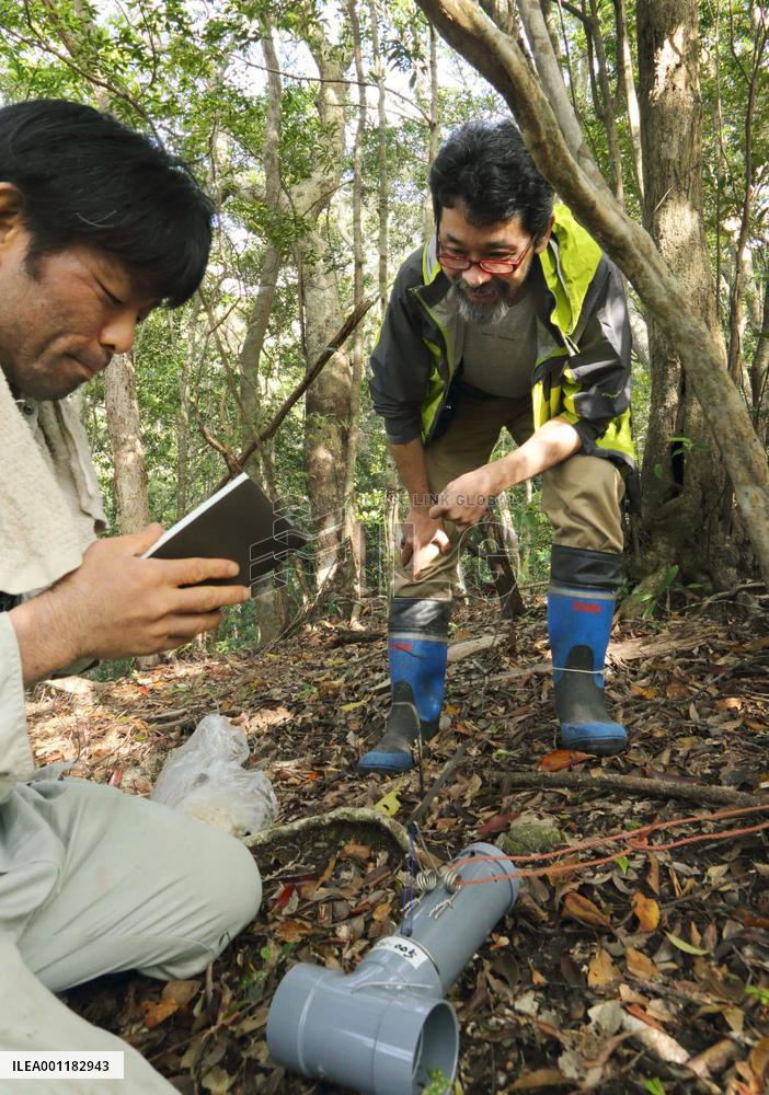"Mongoose busters" to save island's endangered native species