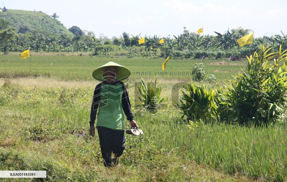 Indonesia power project goes on despite protests