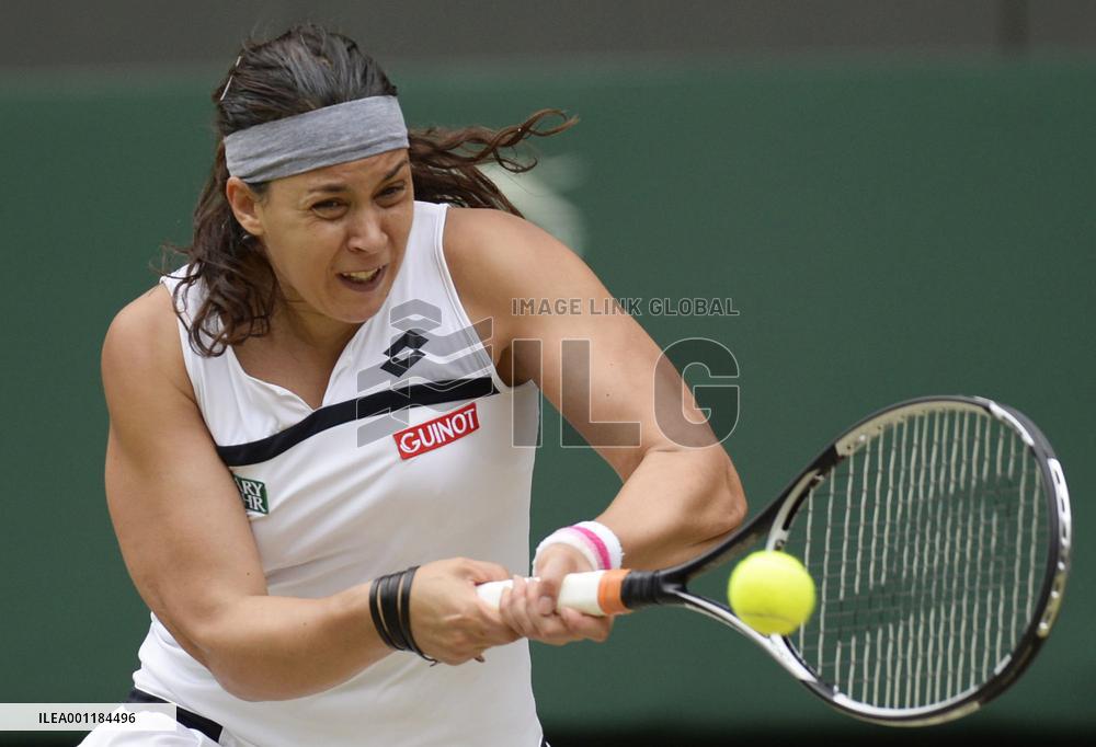 Wimbledon tennis semifinals