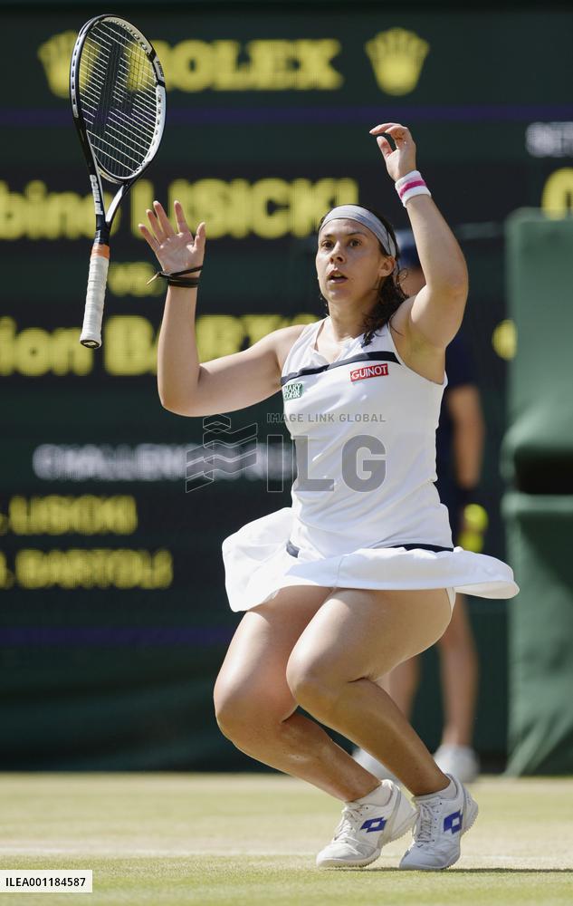 Wimbledon tennis final