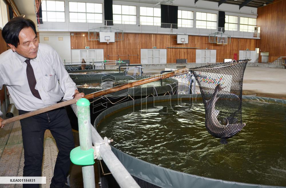 Caviar producers breathe new life into abolished schools