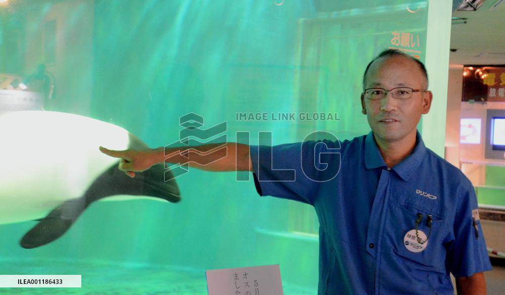 Man helps dolphins survive 3.11 quake-tsunami