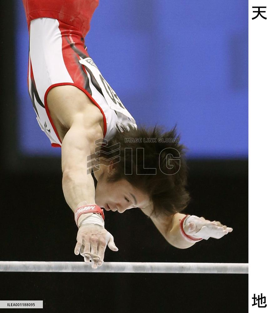 Gymnastics world championships