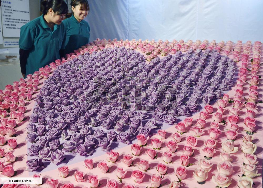 Blue rose "tapestry"