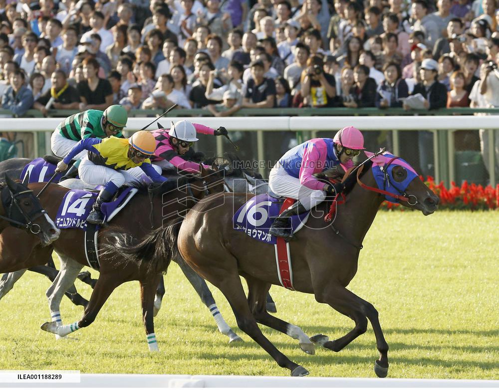 Meisho Mambo wins Shuka-sho