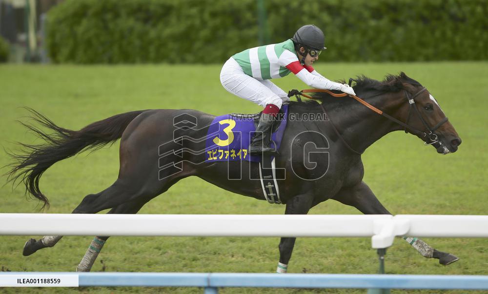 Epiphaneia wins Kikka-sho