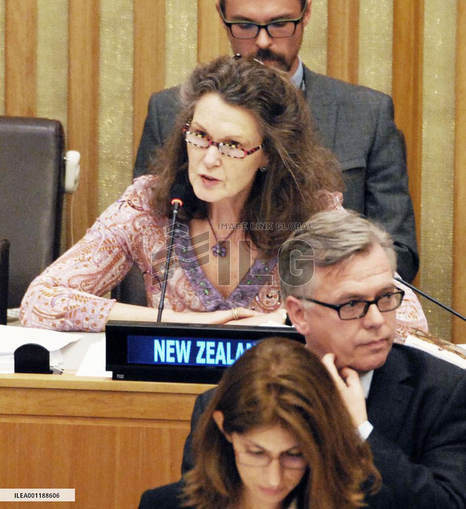 U.N. statement on nuclear disarmament