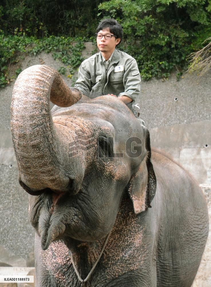 Young breeder of rhinos