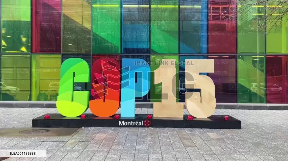 Environmental officials hail China's efforts in protecting biodiversity