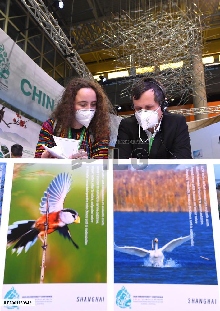 CANADA-MONTREAL-COP15-SECOND PHASE-CHINA PAVILION