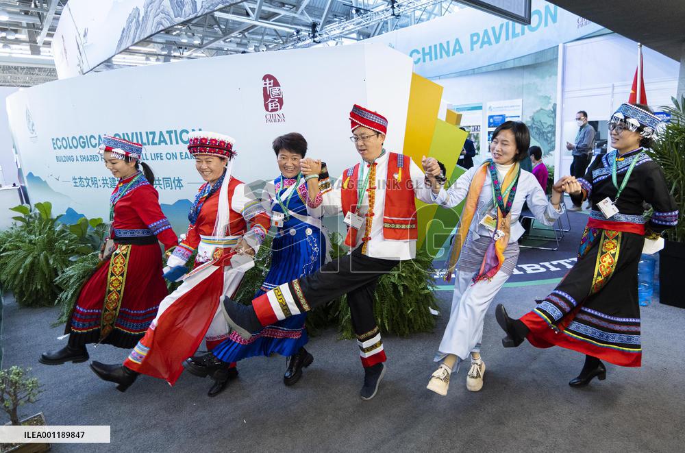 CANADA-MONTREAL-COP15-SECOND PHASE-CHINA PAVILION