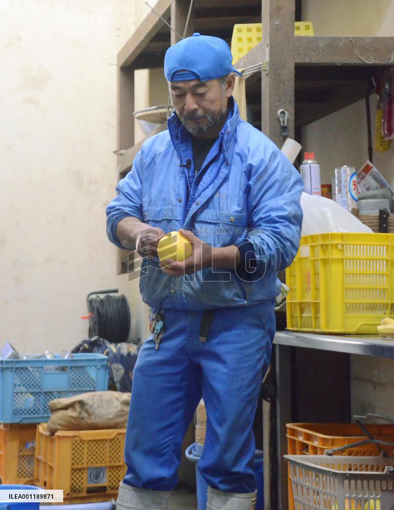 Breeding orphan elephants