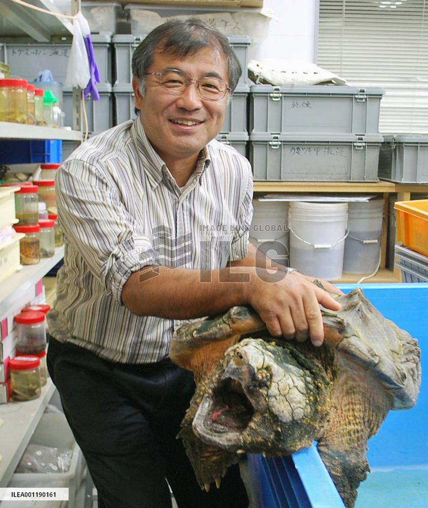 "Dr. Turtle" has studied the creatures for decades