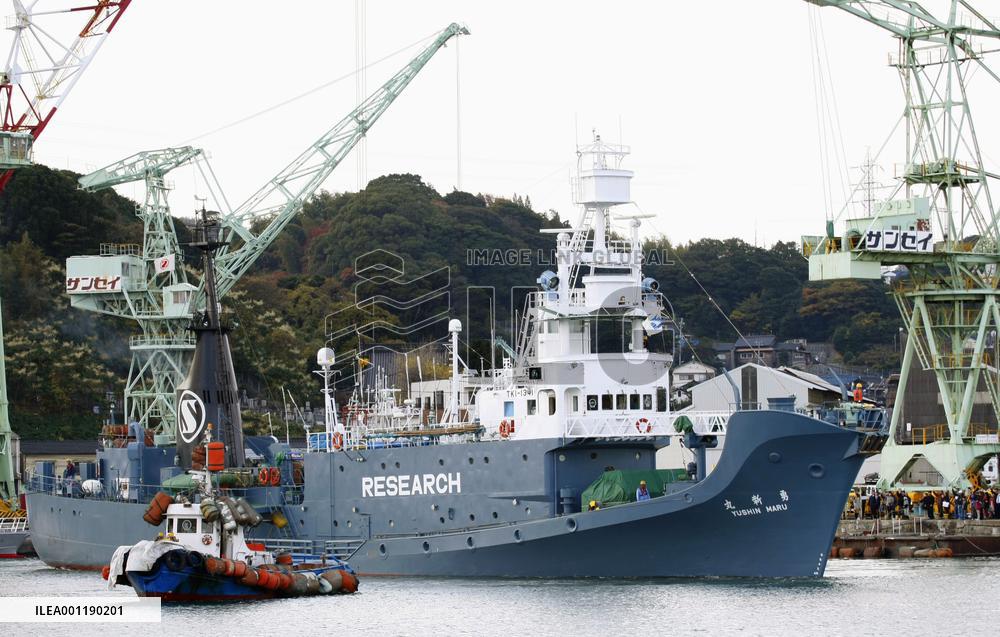 Japan's research whaling