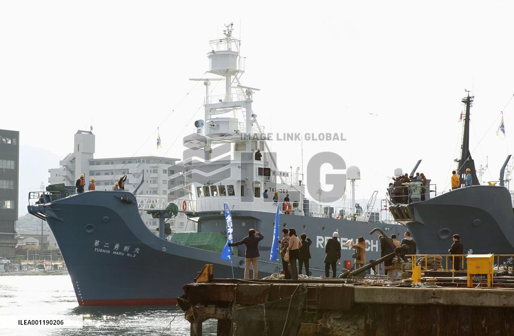 Japan's research whaling