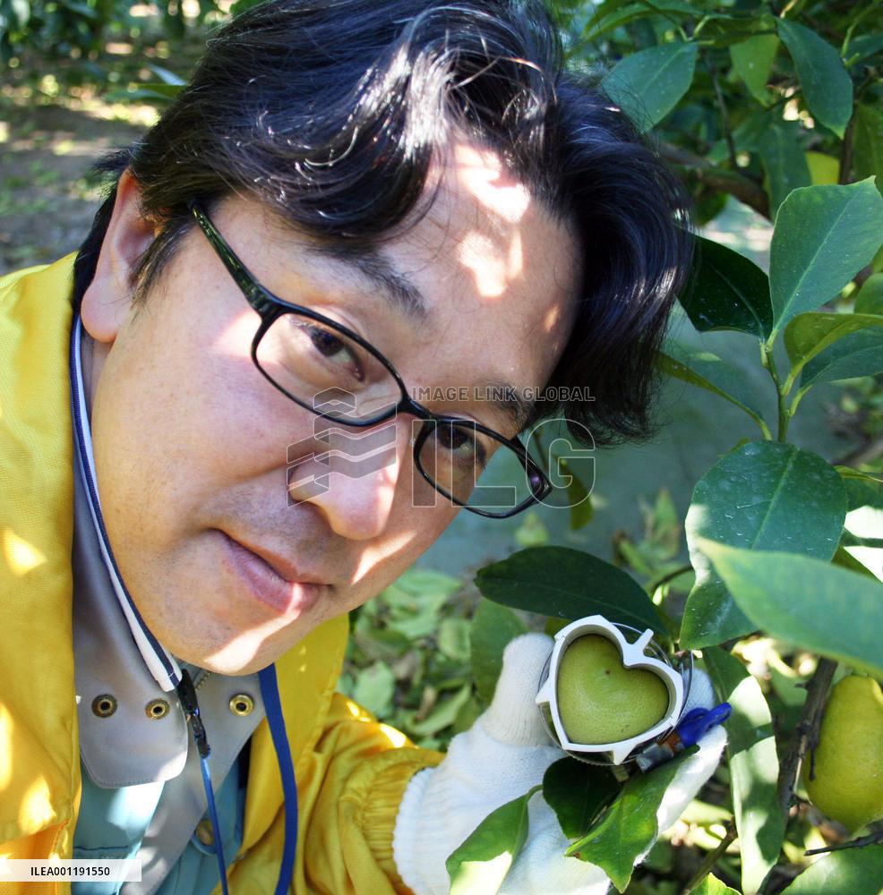 Heart-shaped lemon