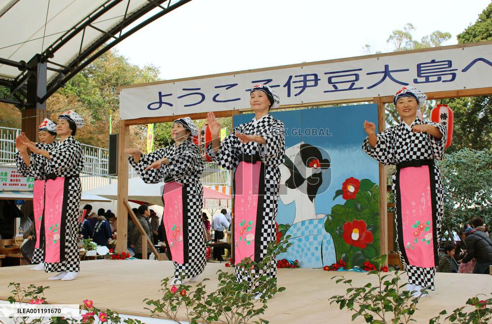 Camellia festival opens on Izu-Oshima Island