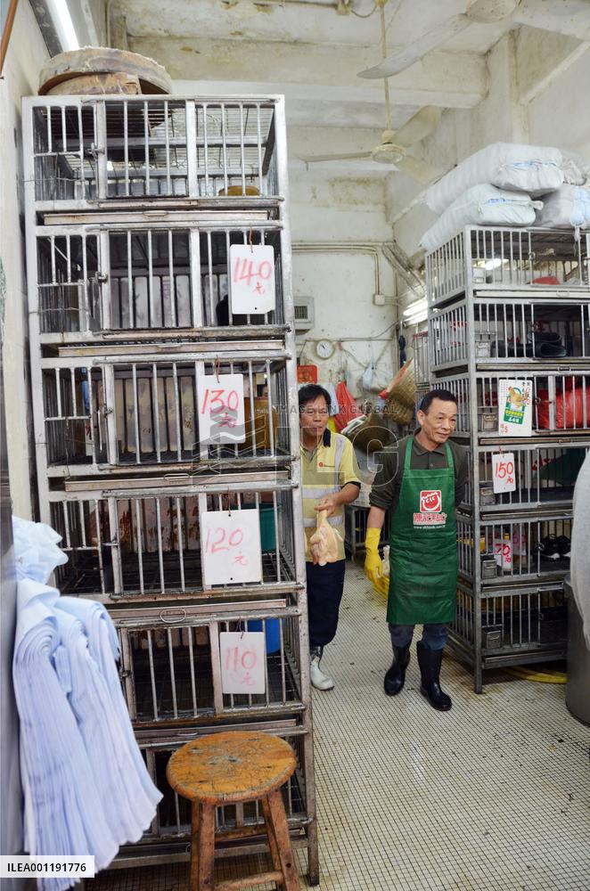Hong Kong suspends chicken trade
