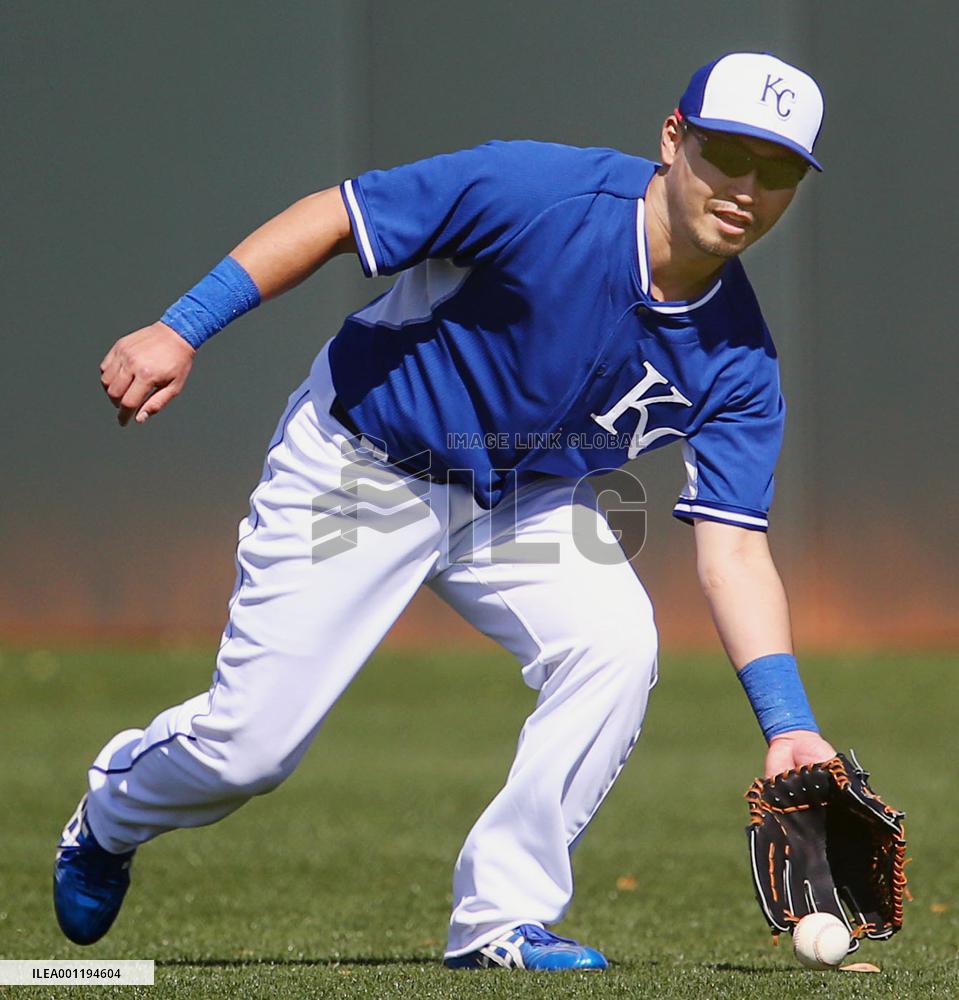 Royals' Aoki at Arizona camp