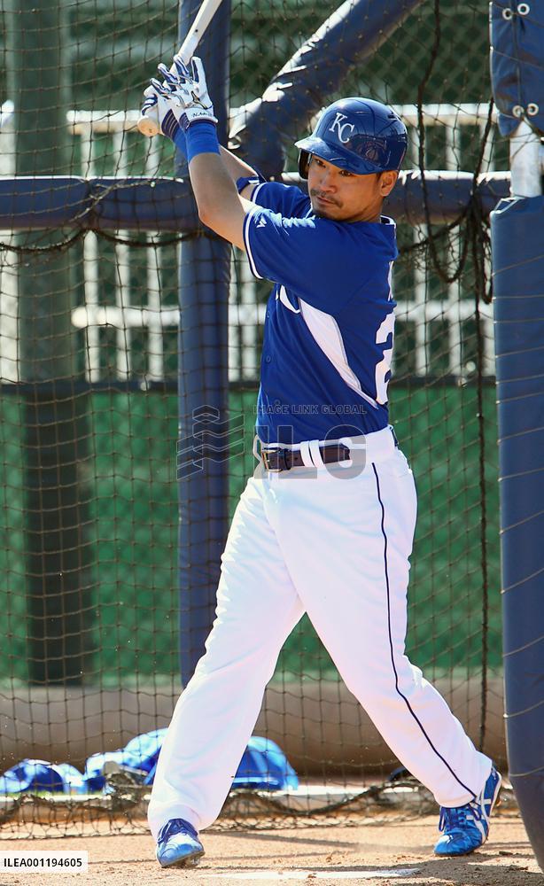 Royals' Aoki at Arizona camp