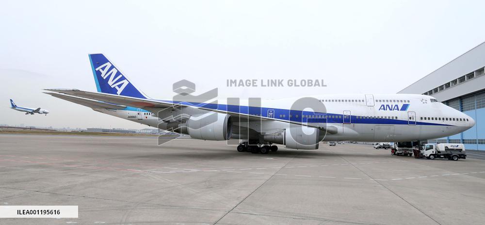 ANA jumbo jet