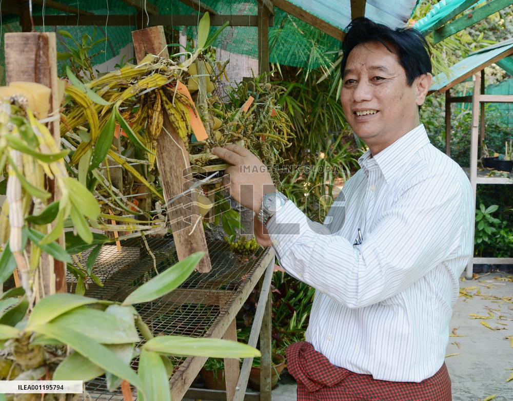 Chief of Yangon orchid preservation center meets reporters