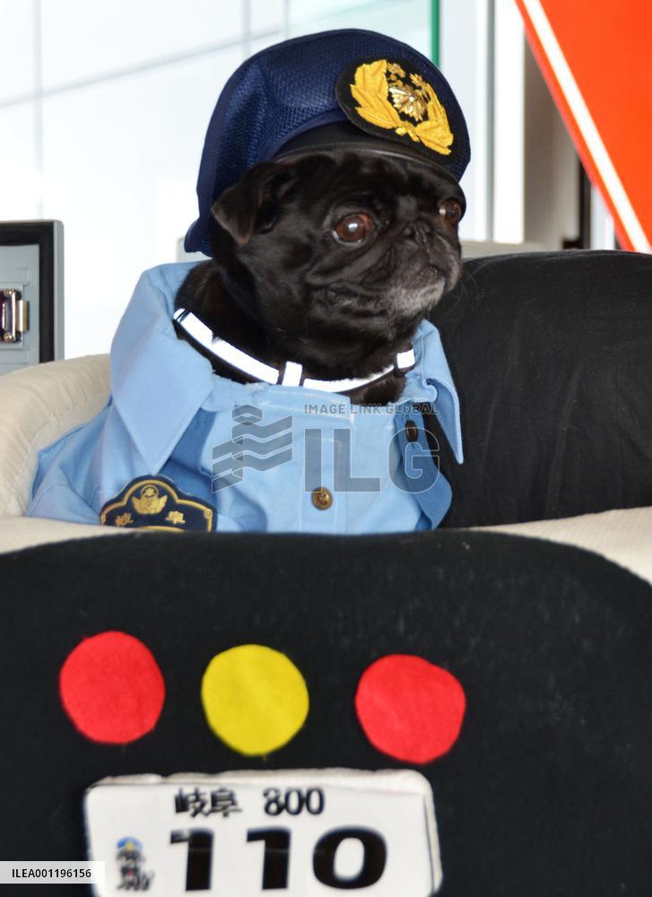 Soleil, Gifu police PR dog, retires