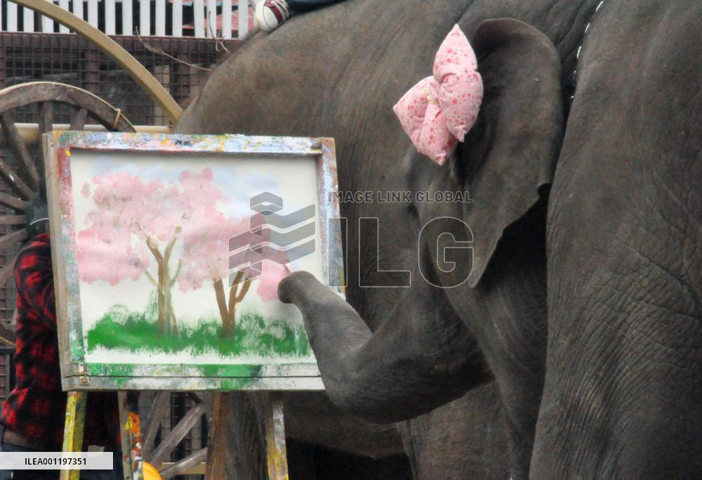 Elephant draws cherry blossoms at Japanese zoo