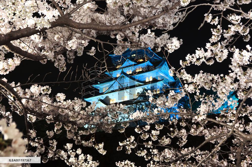 Osaka Castle shining blue on World Autism Awareness Day