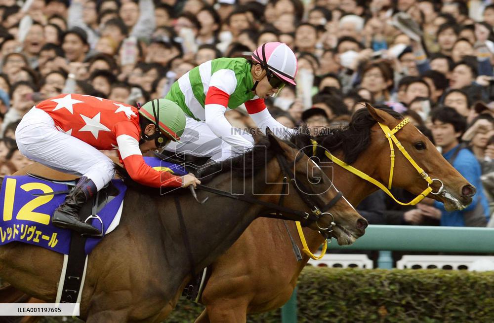 Oka-sho horseracing
