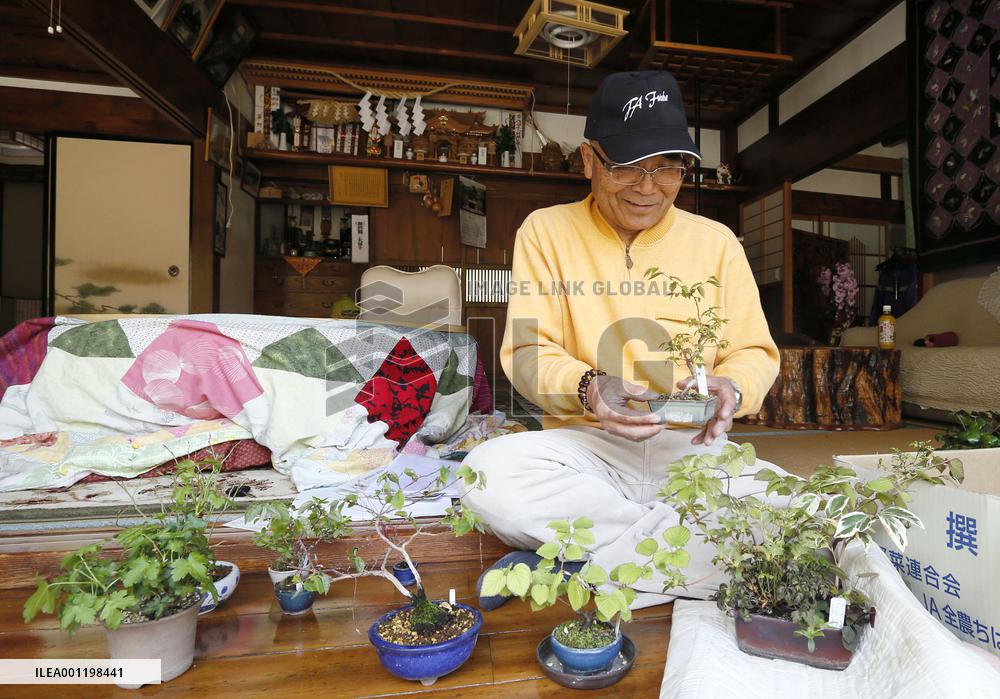 Fukushima evacuee sees 'bonsai' trees at home