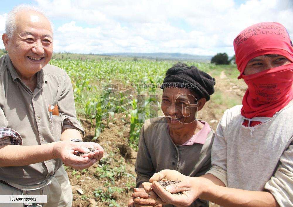 Filipino farmers crop buckwheat in post-conflict Mindanao