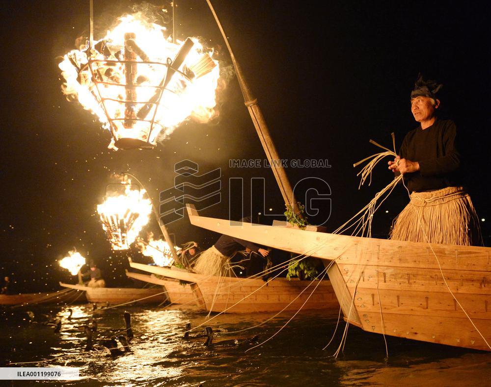 Cormorant fishing masters maneuver to catch 'ayu' trout