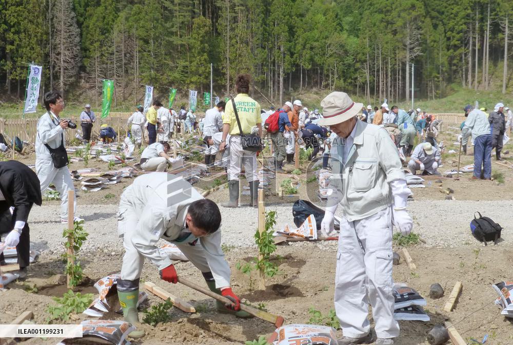 Trees planted to reforest tsunami-hit area in northern Japan