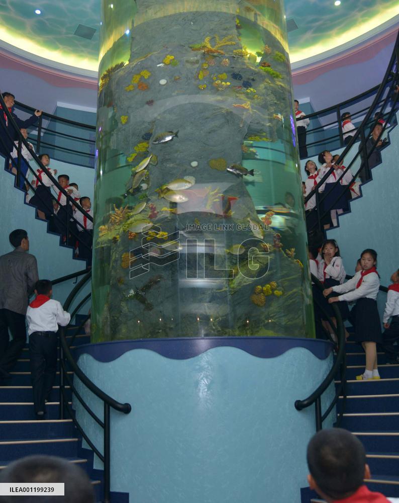 Songdowon children's camp in N. Korea