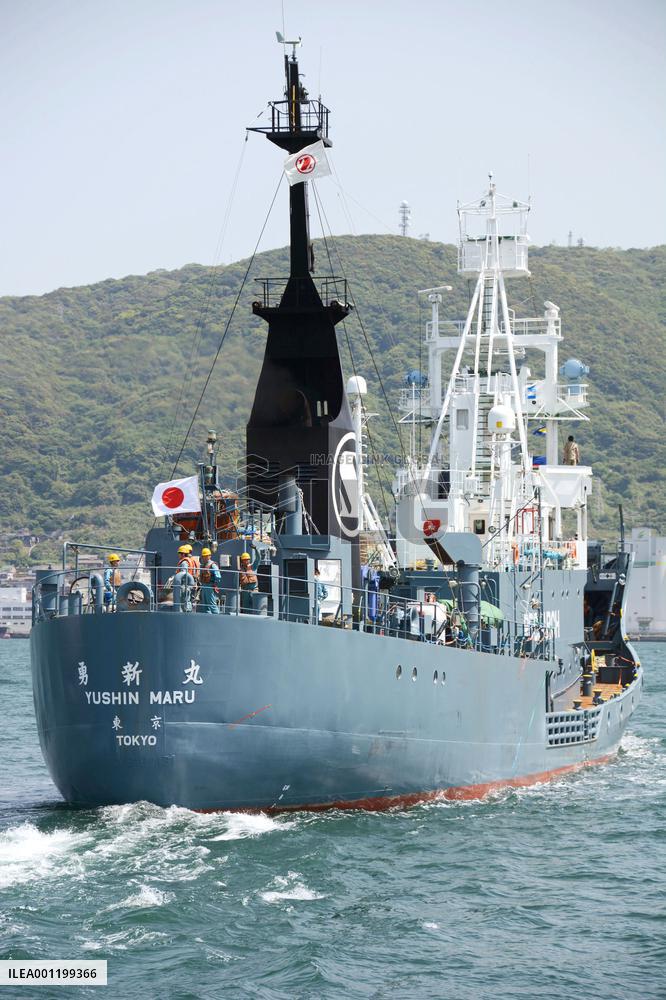 Japan "research whaling"