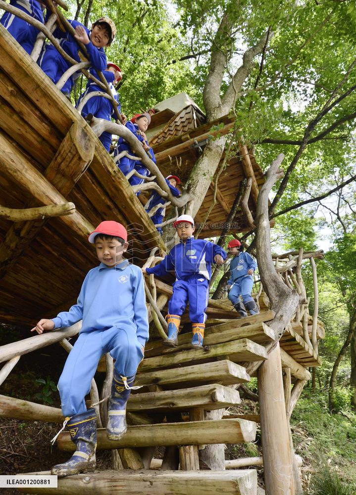 Children visit tree house in open-air class