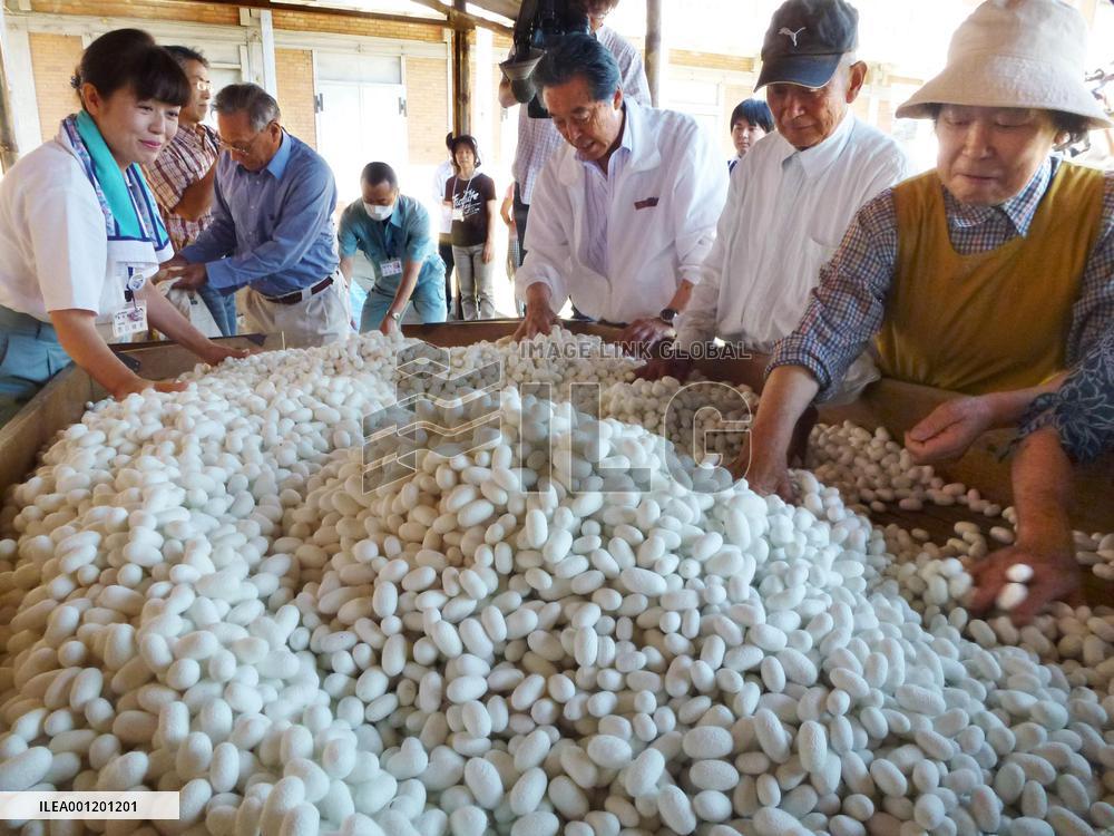 People check cocoons at Tomioka Silk Mill