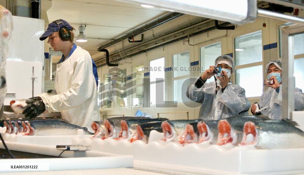 Kesennuma fishery group visits Norway trout factory